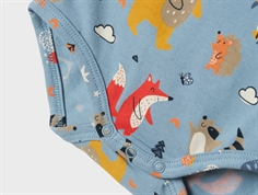 Name It mountain spring bear body